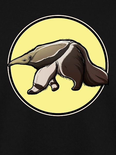 Ameisenbären Ameisenbär
