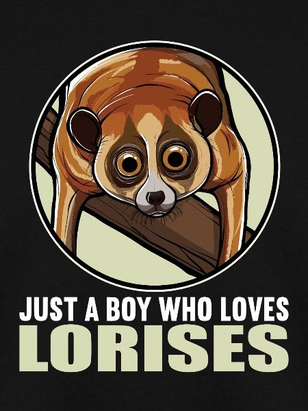 Plumploris Loris