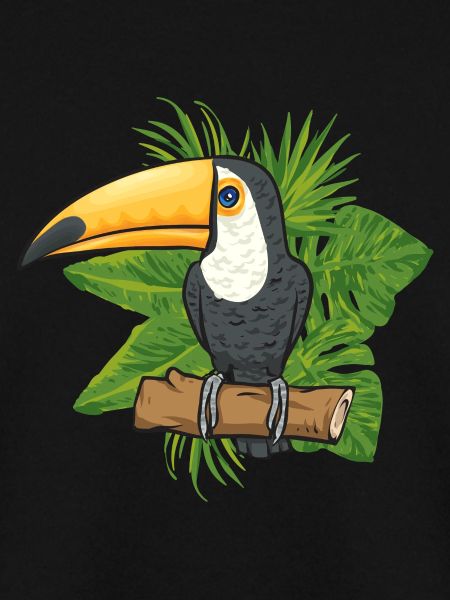 Tukan Vogel Regenwald