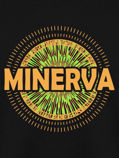 Gift idea Minerva