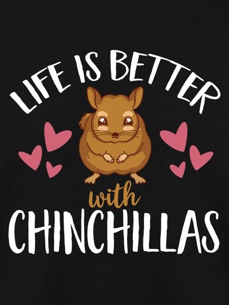 Chinchilla