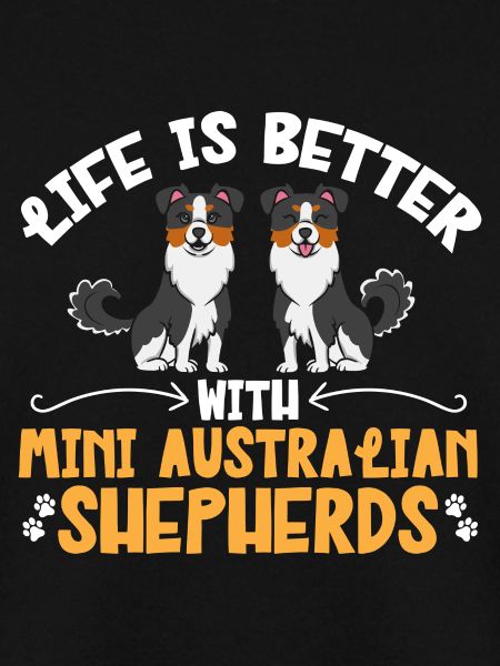 Miniature Australian Shepherd