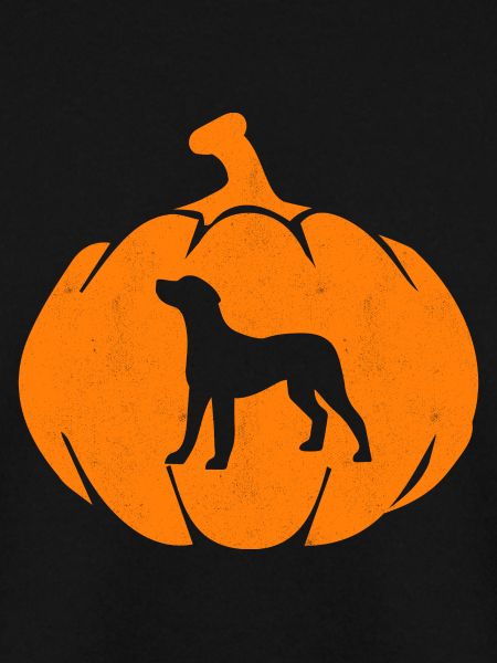 Halloween Dog Pumpkin