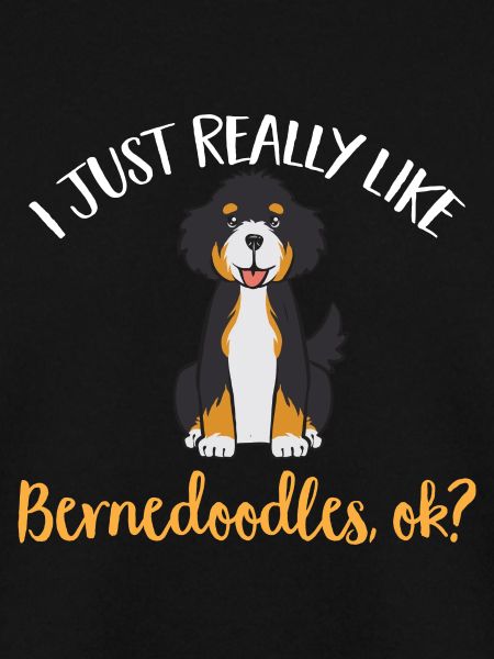 Bernedoodle Hund