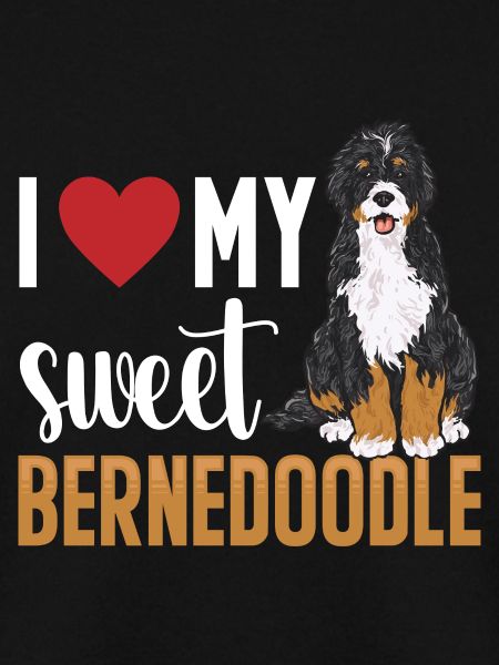 Bernedoodle Dog