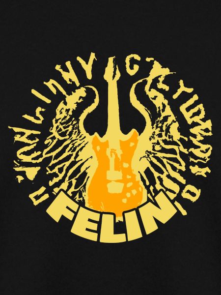 Gitarre Felin