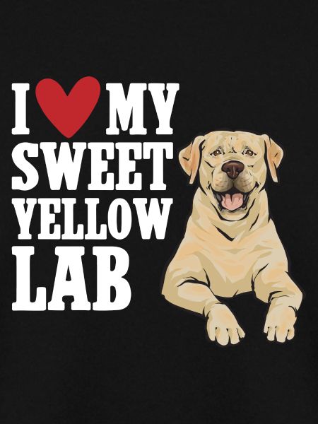 Gelber Labrador Retriever