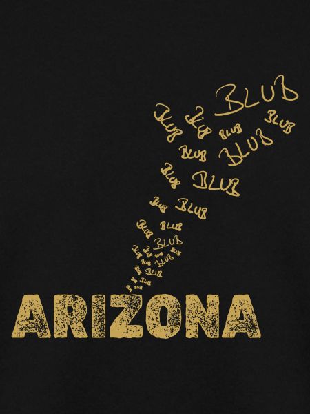 Arizona als Boot
