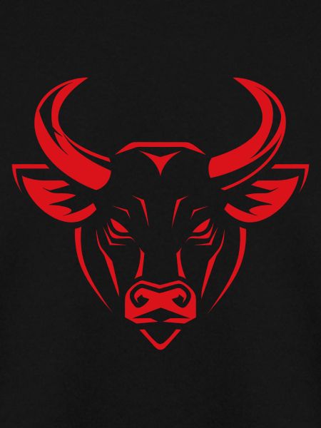Stier