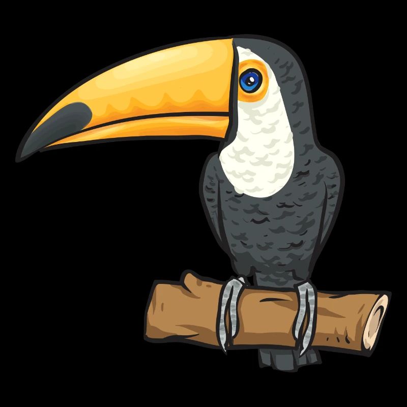 Tukan Vogel Regenwald