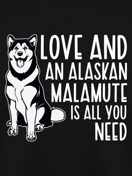 Alaskan Malamute Hund