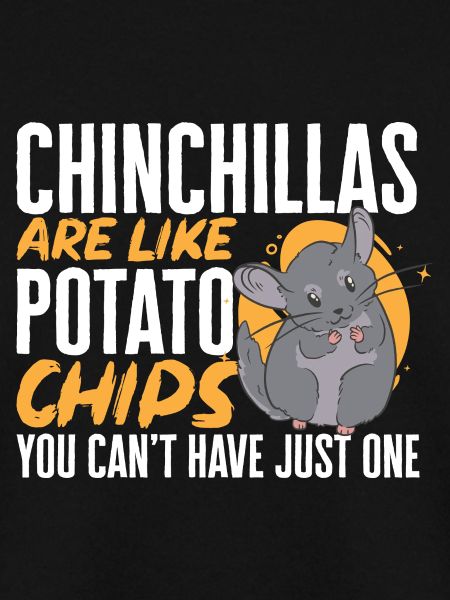 Chinchilla