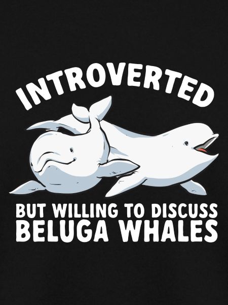 Weißwal Beluga Wal