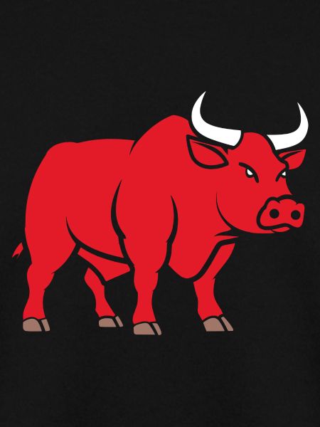 Bull