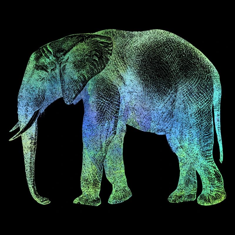 Elefant Afrika