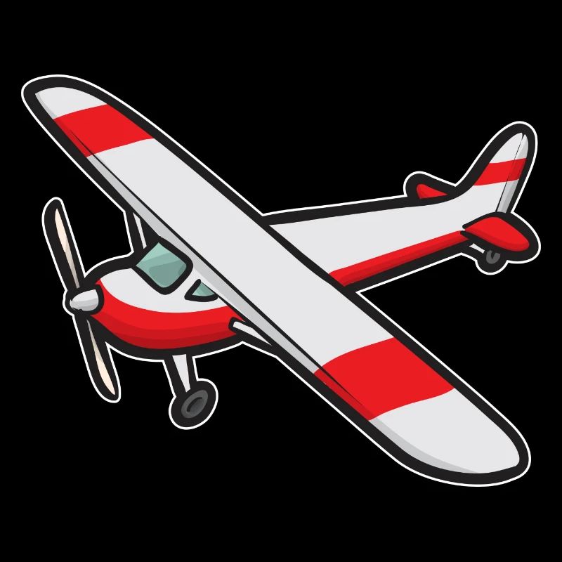 Remote Controlled Airplane Model Airplane