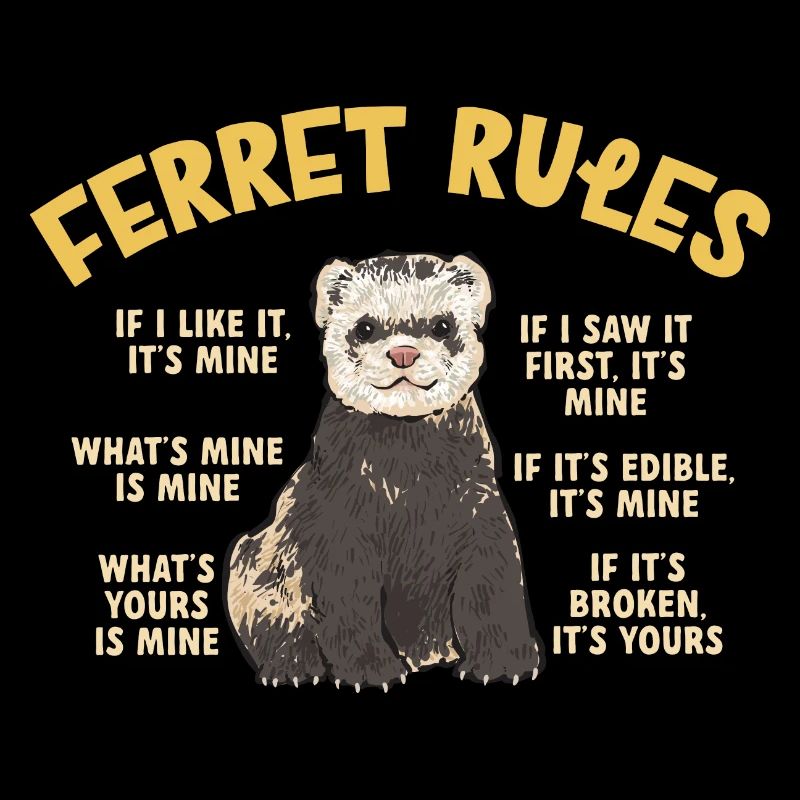 Furet, propriétaire de furet