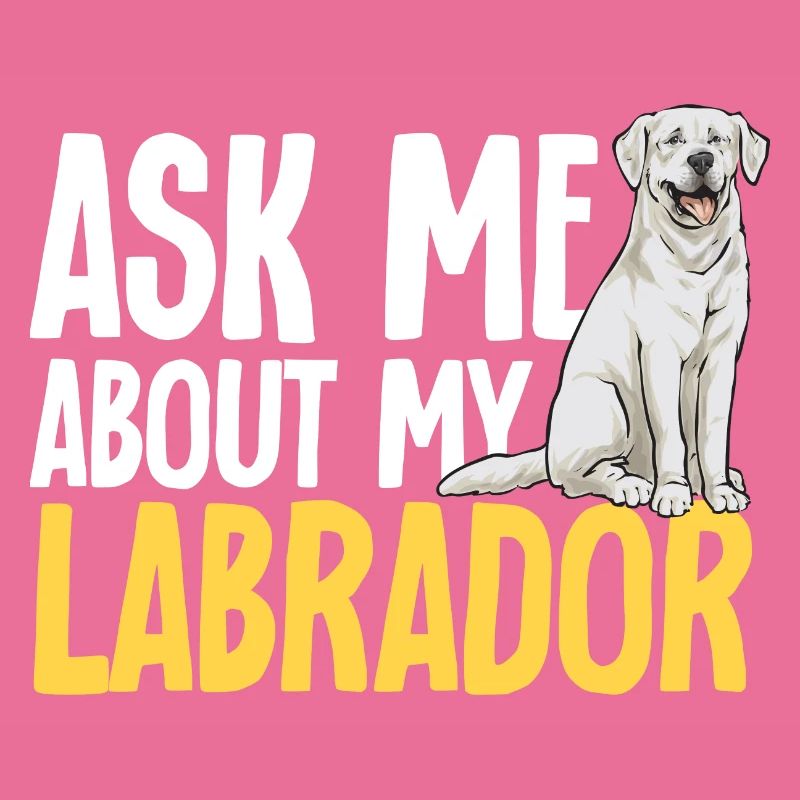 Labrador Retriever blanc Labrador Labrador blanc