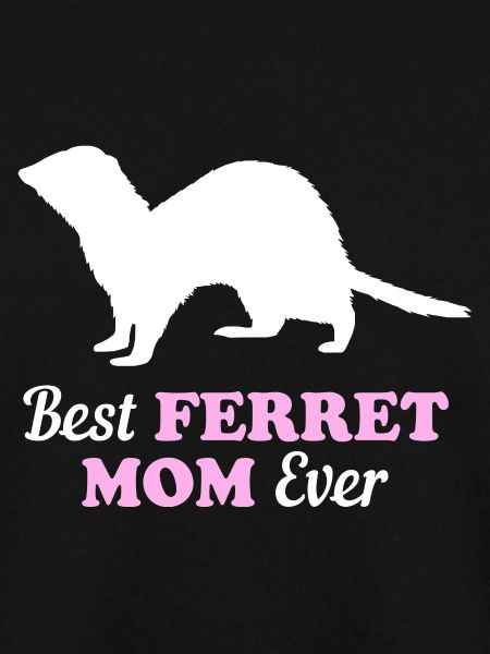 Ferret