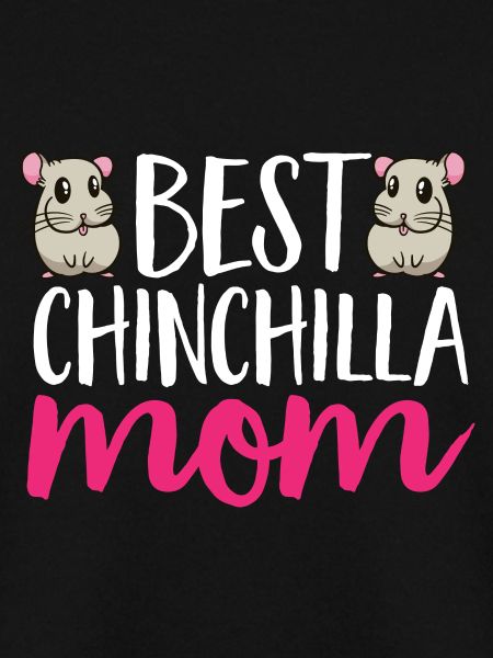 Chinchilla
