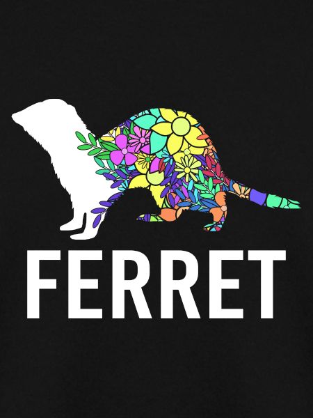 Ferret