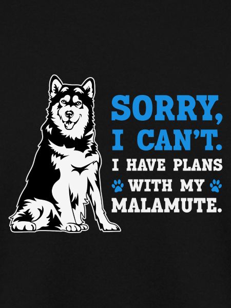 Alaskan Malamute Dog