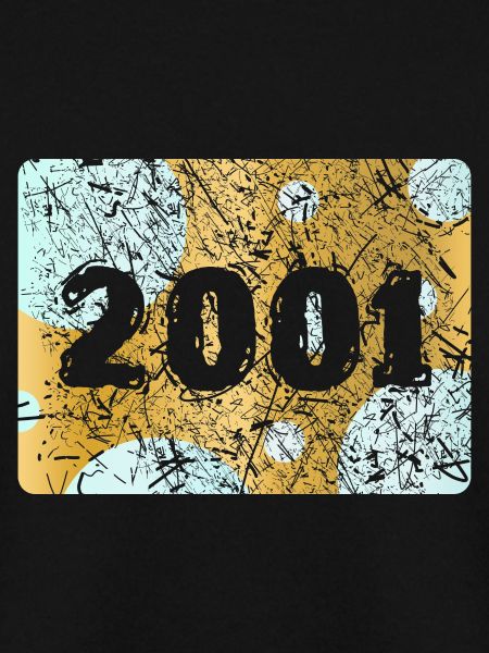 2001 2001