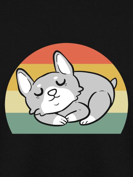 Corgi