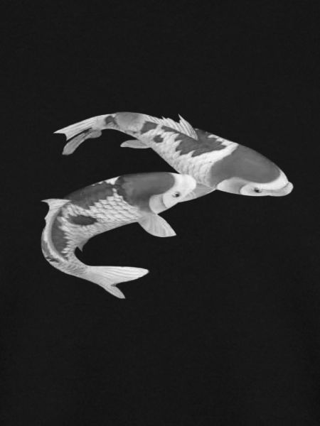 Japanischer Koi Fisch