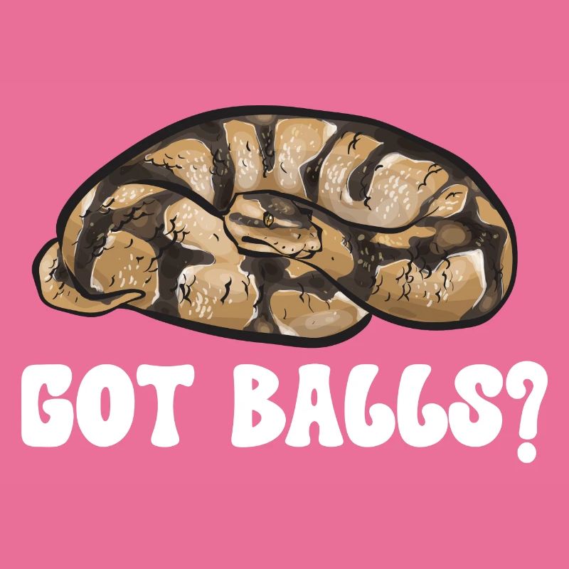 Ball Python Snake King Python