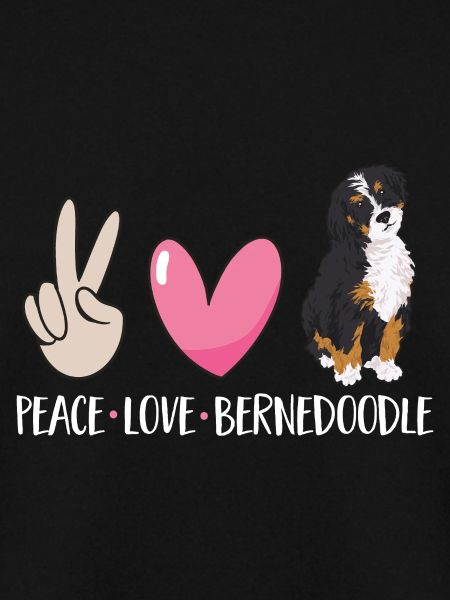 Bernedoodle Dog