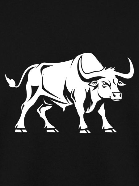 Stier