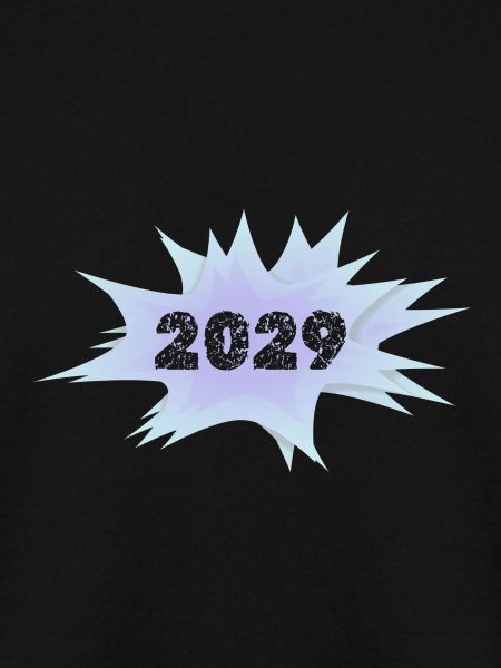 2029 2029