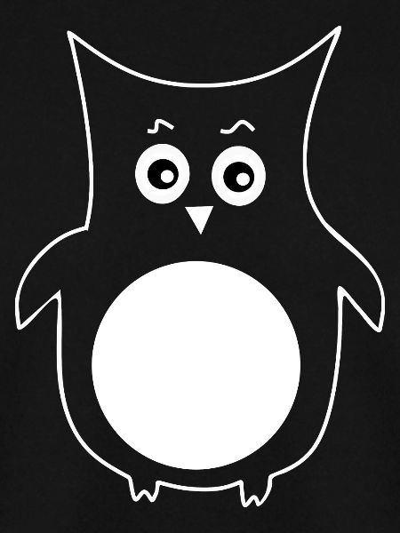 white owl bird white