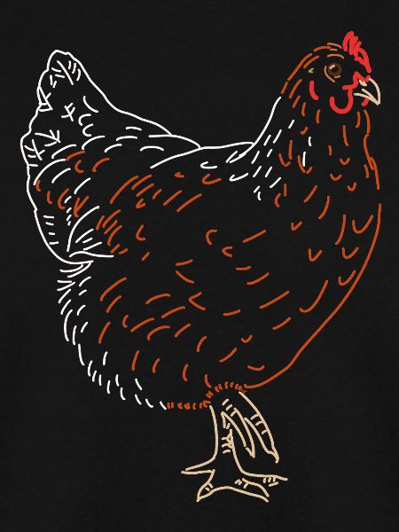 Rooster or Hen