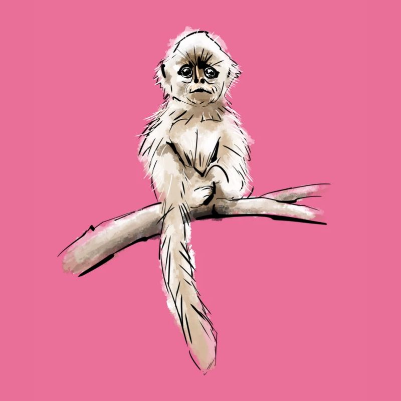 Äffchen