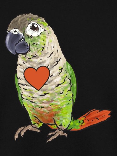 Molinasittich Papagei Vogel Sittich