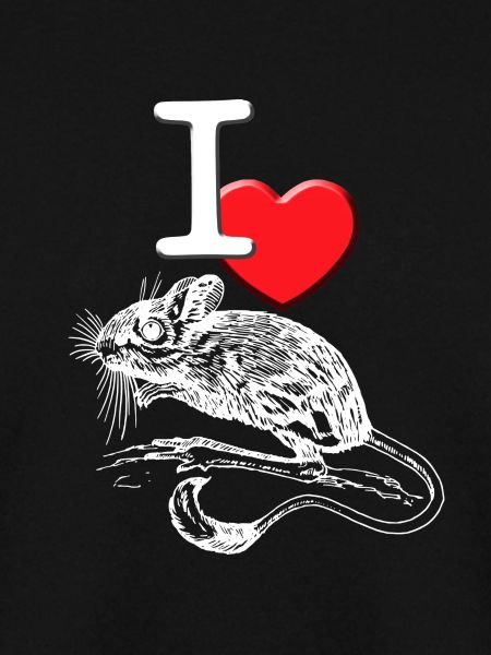 mouse