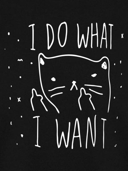 Whimsical Cat Motivational Illustration