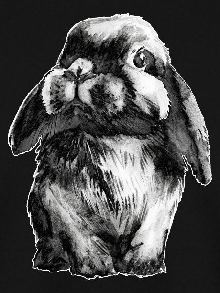 Rabbit Schlapohr