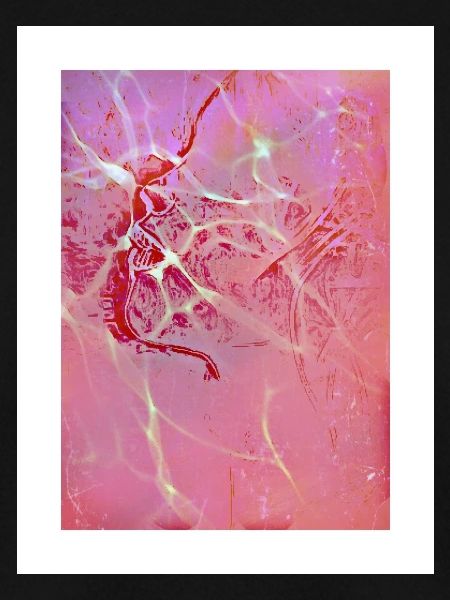 Abstract Pink Reflections