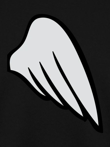 rightwing