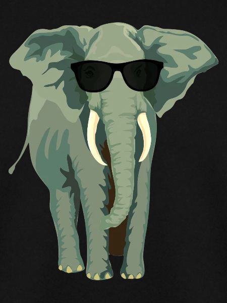 Elephant with sunglass