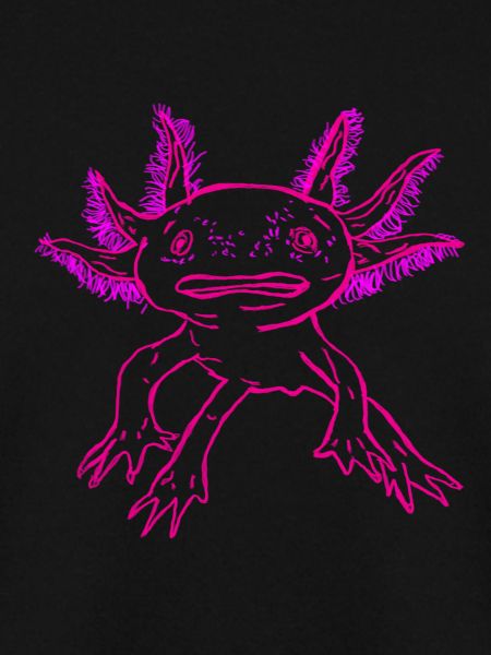 Axolotl