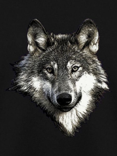 Wolfsgesicht