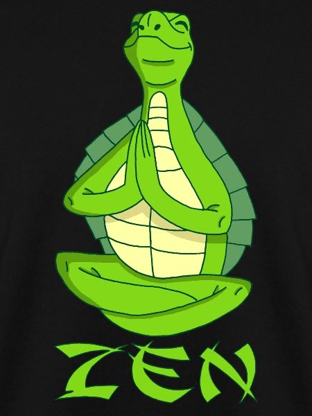 Yogi Turtle