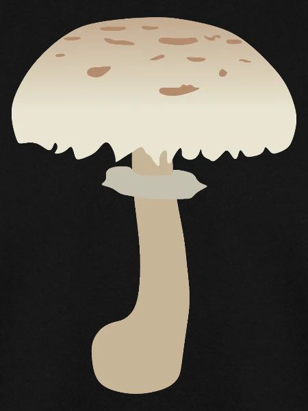 Minimalistische Sonnenschirm-Pilz-Illustration