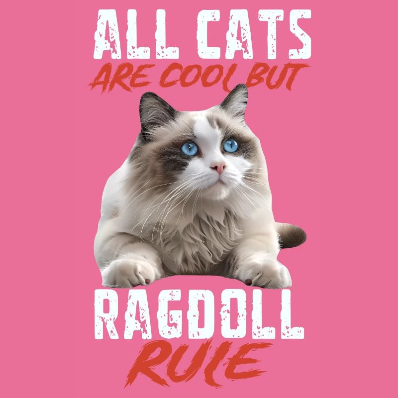 Ragdoll