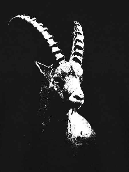 Steinbock Alpentiere