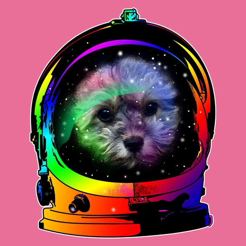 CosmosDog